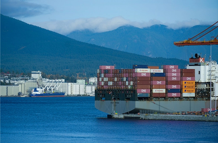 Hiệu quả thương mại toàn cầu: Lựa chọn công ty vận chuyển hàng hóa đường biển quốc tế phù hợp